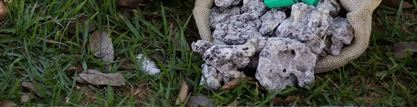 x31.jpg.pagespeed.ic .3UQAKHjkuH