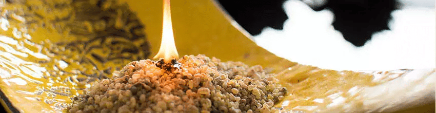 x57.jpg.pagespeed.ic . ZToGOfo67 1