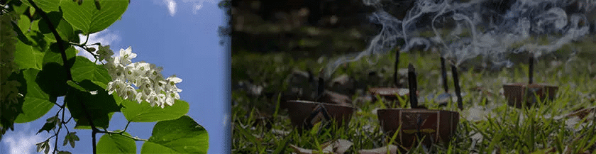 xestoraque2.jpg.pagespeed.ic .G lrwudfhQ